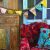 PARADISE BIRDS COLLECTION