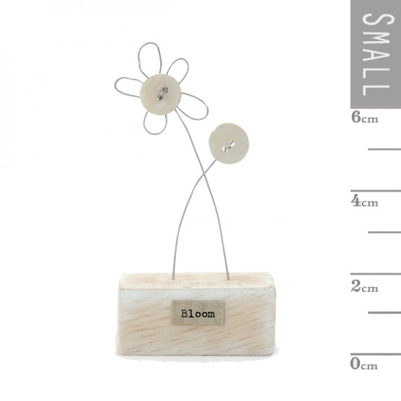 Wood scene-Flowers/Bloom