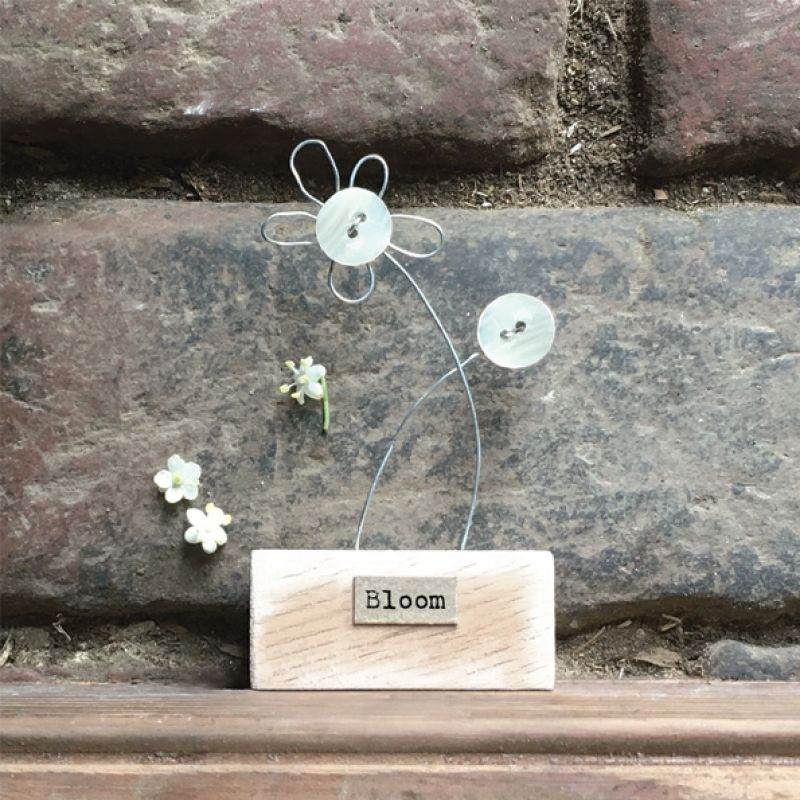 Wood scene-Flowers/Bloom