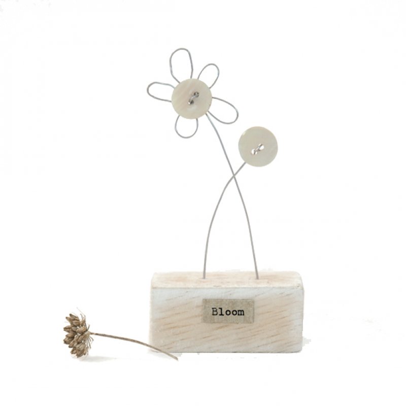 Wood scene-Flowers/Bloom