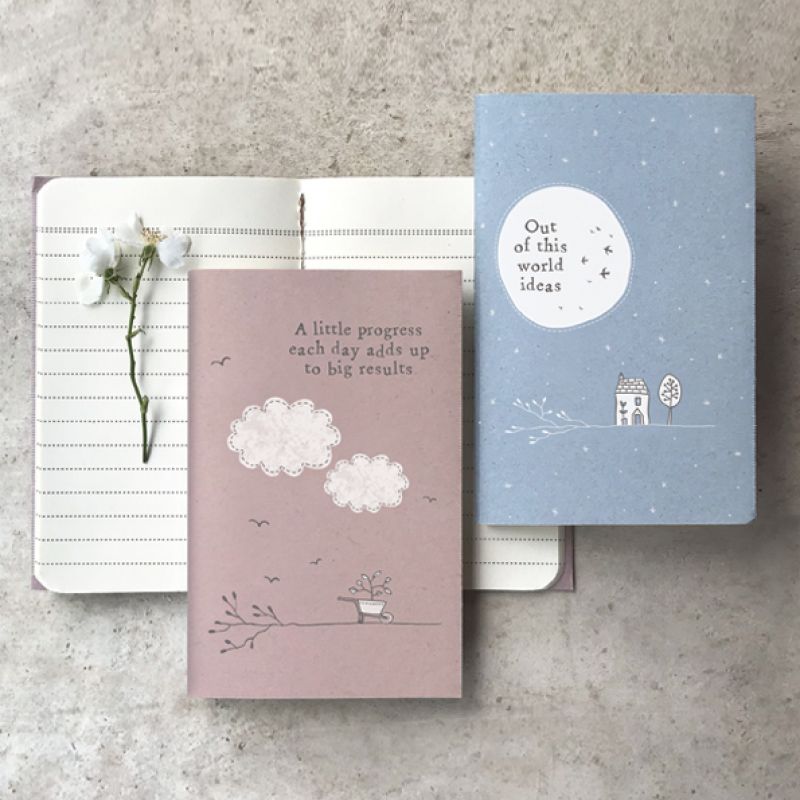 Small book-Little progress
