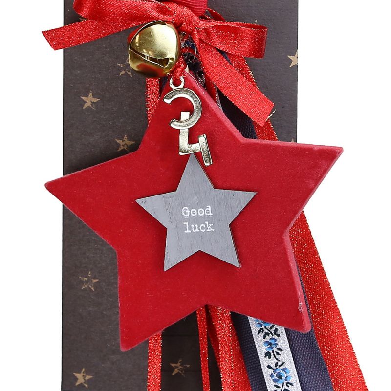 Lucky charm - Hanger velvet