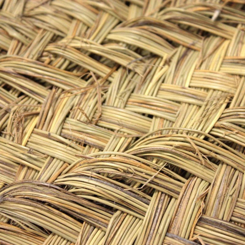 Carpet grass ? 140cm Natural